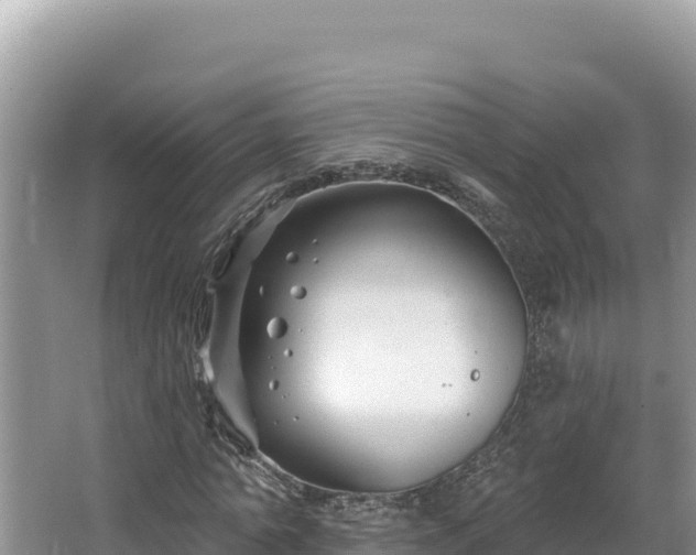 X0000067490774200604101254