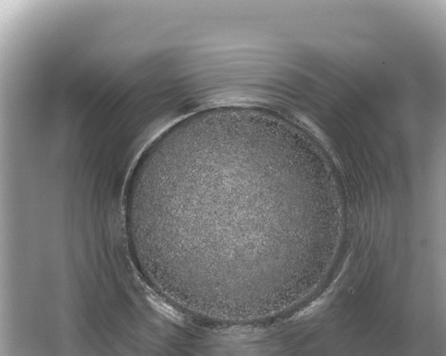 X0000067490779200604101254