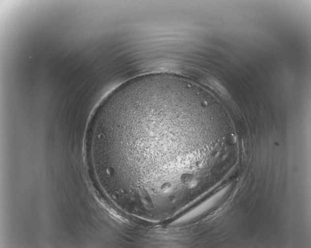 X0000067490780200604101254