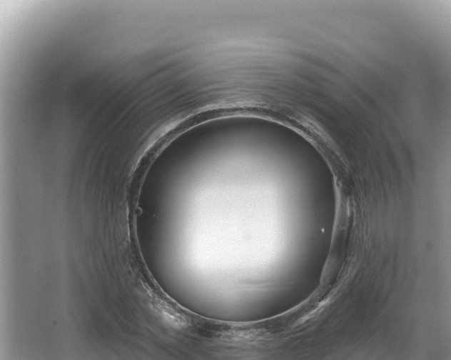 X0000067490781200604101254