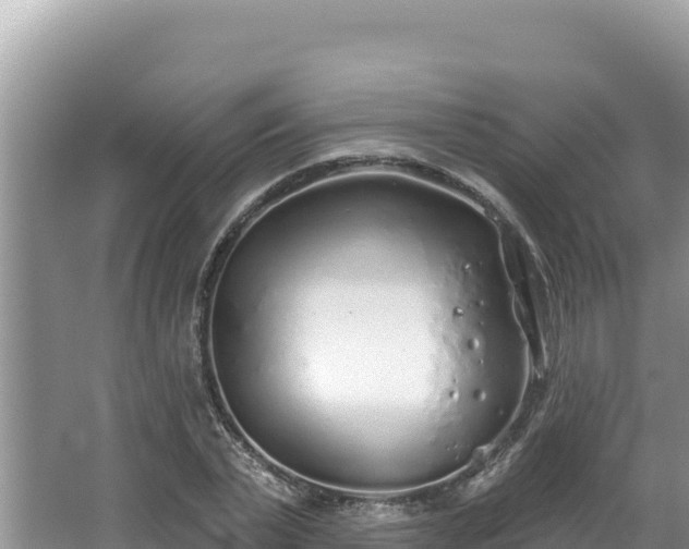 X0000067490783200604101254