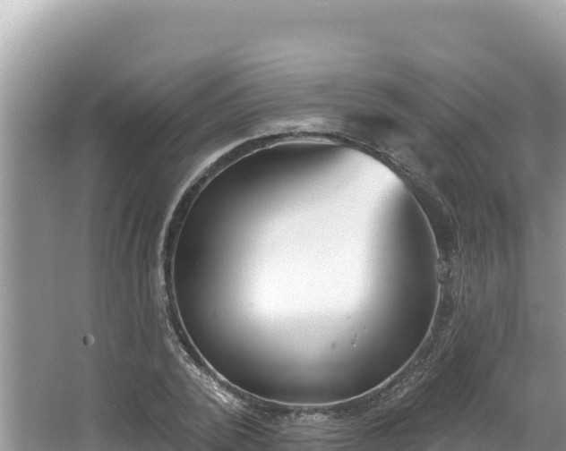 X0000067490784200604101254