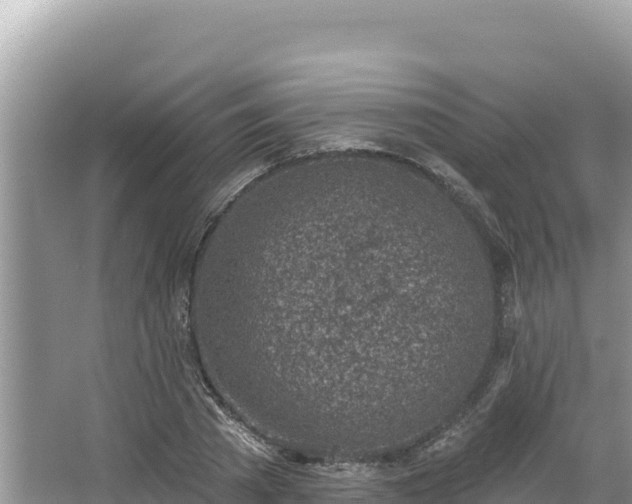 X0000067490785200604101254