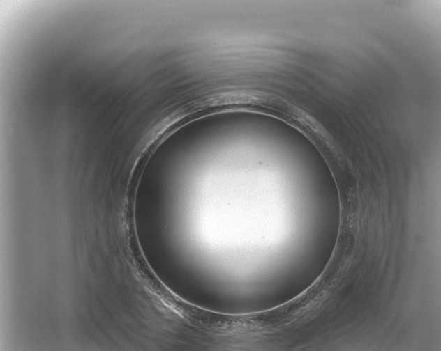 X0000067490786200604101254