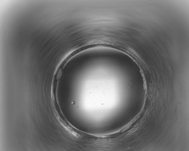 X0000067490788200604101254