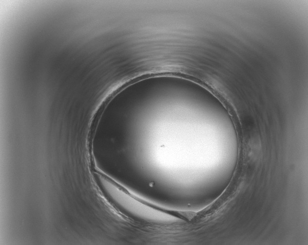 X0000067490789200604101254