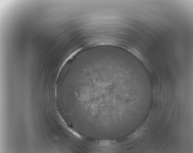 X0000067490790200604101254