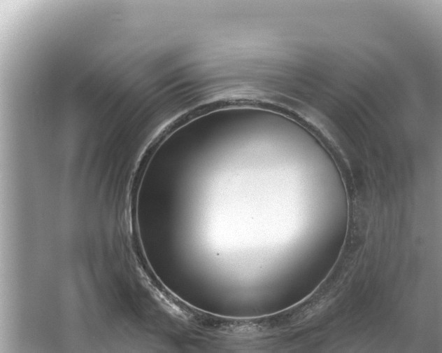 X0000067490791200604101254