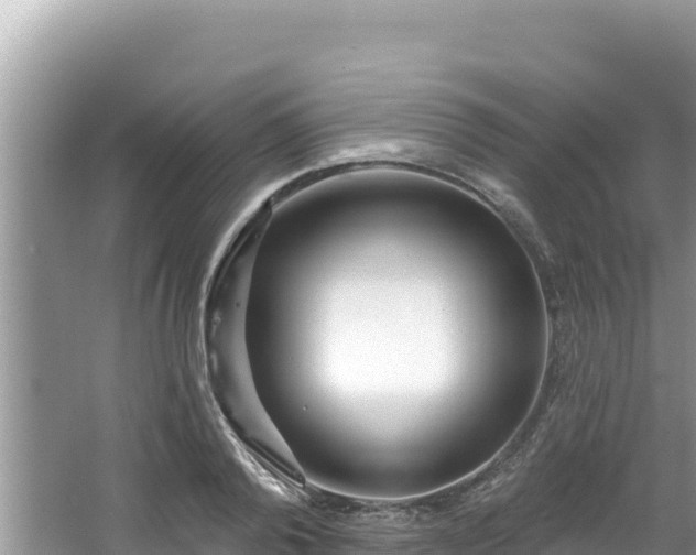 X0000067490792200604101254