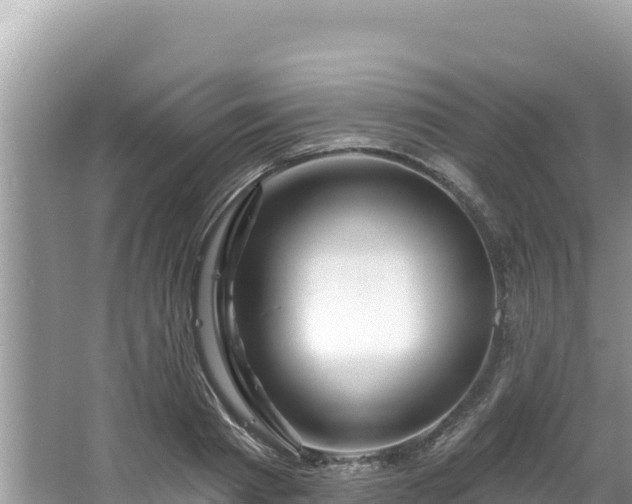 X0000067490793200604101254