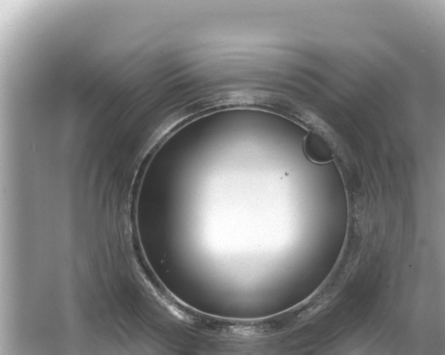 X0000067490794200604101254