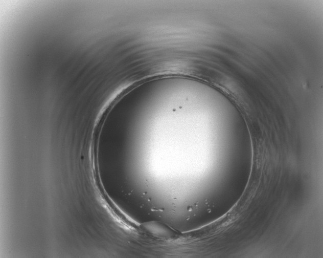 X0000067490796200604101254