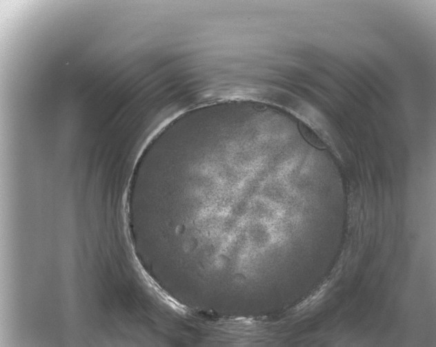 X0000067490798200604101254