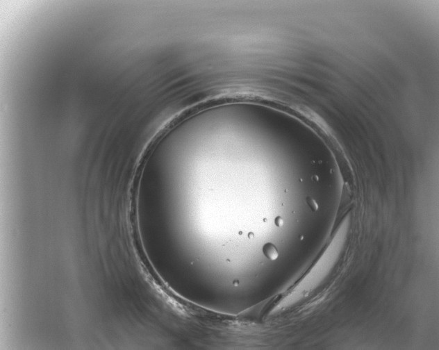 X0000067490799200604101254