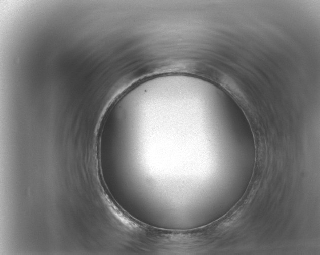 X0000067490800200604101254