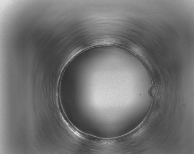 X0000067490802200604101254