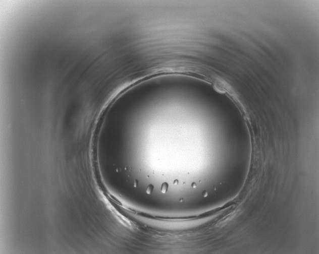 X0000067490803200604101254