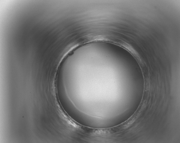 X0000067490806200604101254