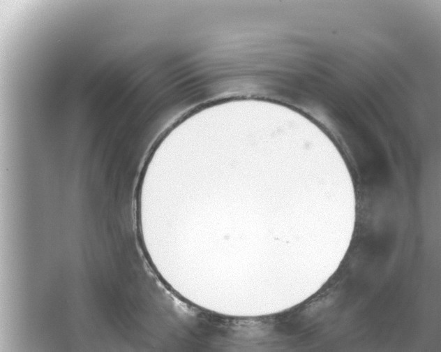 X0000067490807200604101254