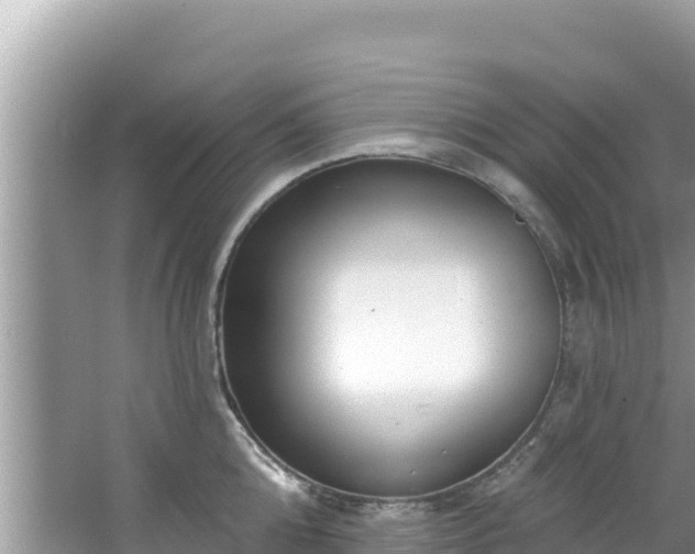 X0000067490808200604101253