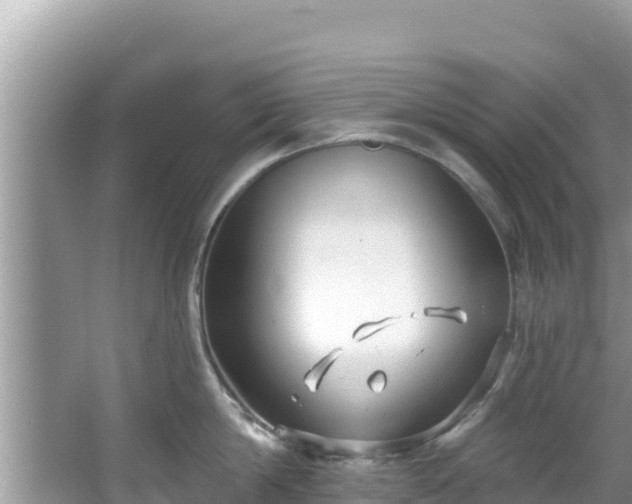 X0000067490814200604101253