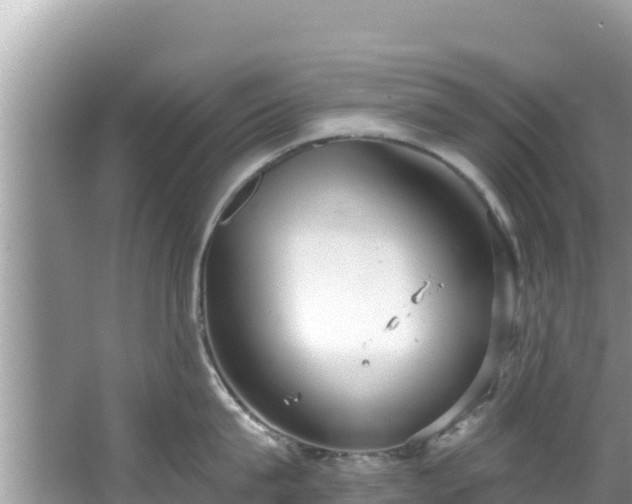 X0000067490815200604101253