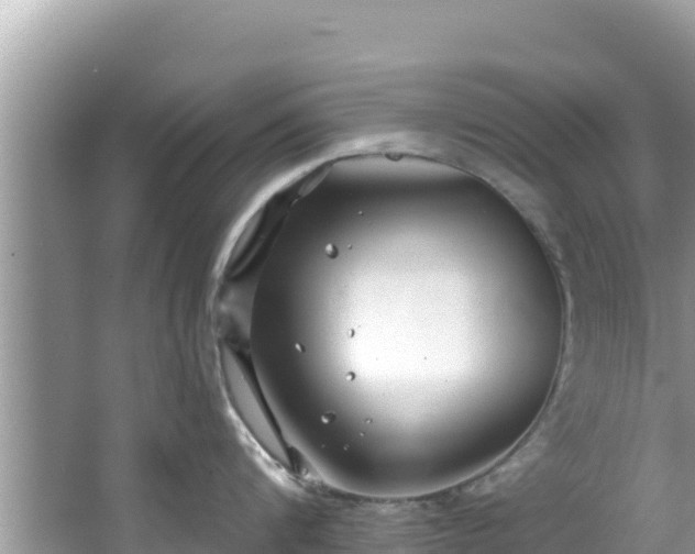 X0000067490816200604101253