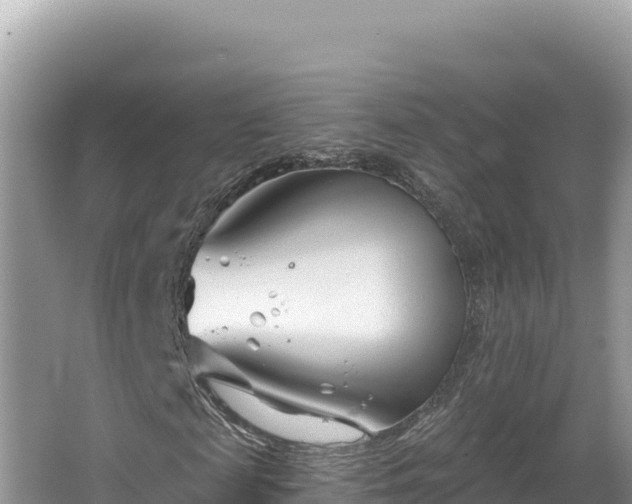 X0000067490817200604101253