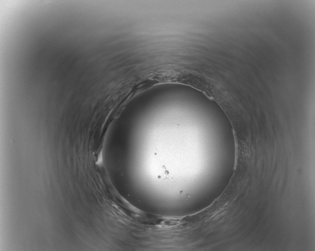 X0000067490818200604101253