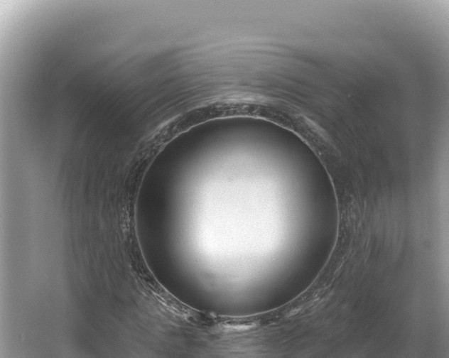 X0000067490821200604101253