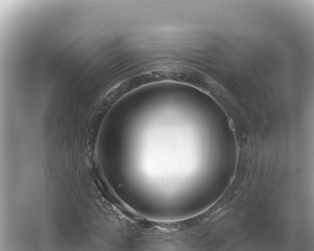 X0000067490822200604101253