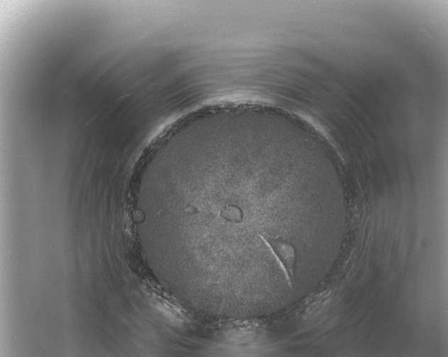 X0000067490823200604101253