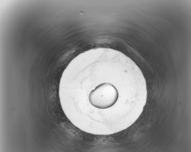 X0000067490824200604101253