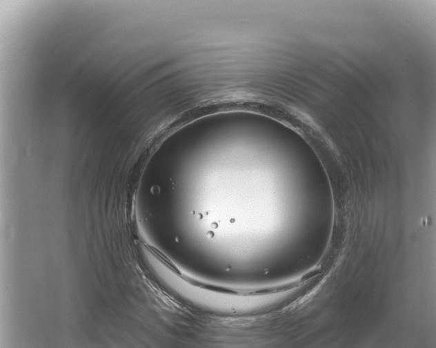 X0000067490825200604101253