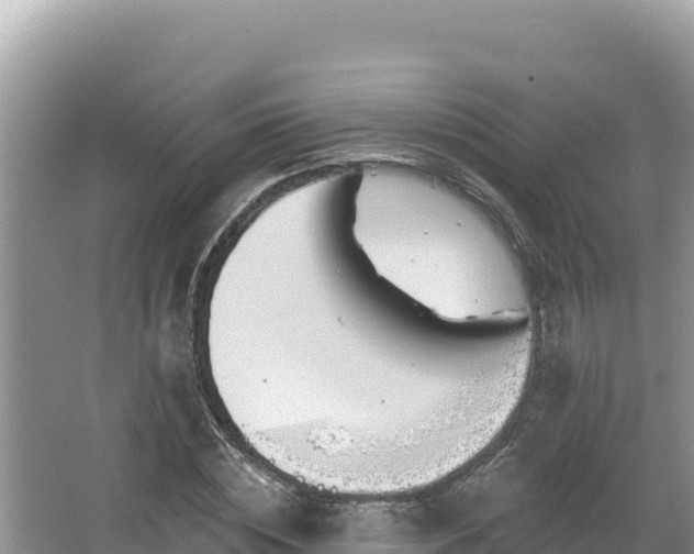 X0000067490828200604101253