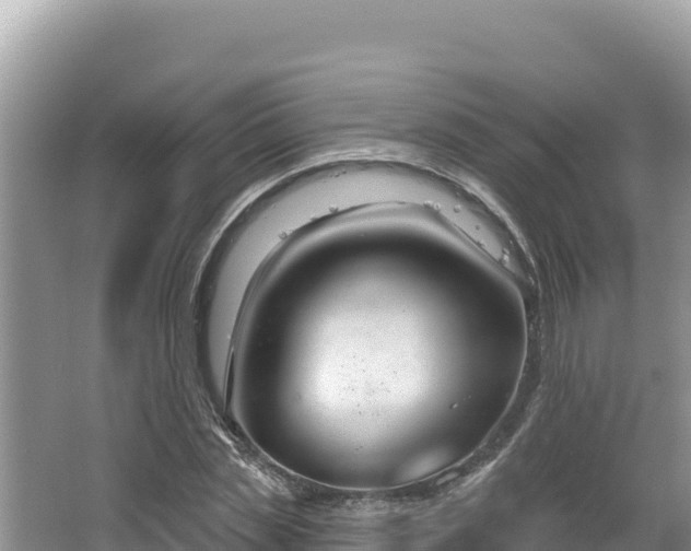 X0000067490829200604101253