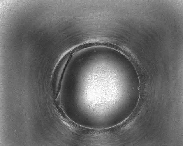 X0000067490830200604101253