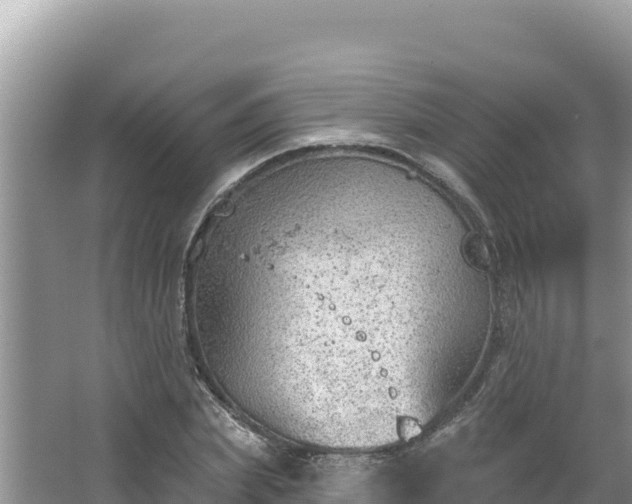 X0000067490831200604101253