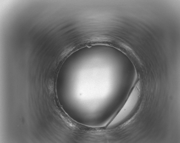 X0000067490833200604101253