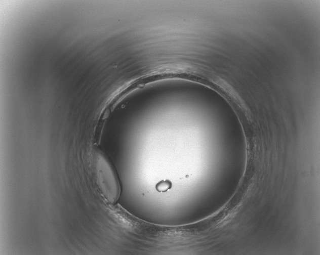 X0000067490834200604101253