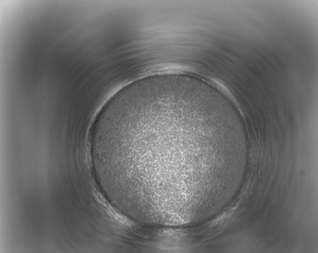 X0000067490835200604101253