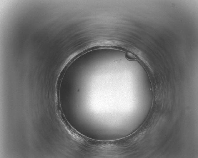 X0000067490837200604101253