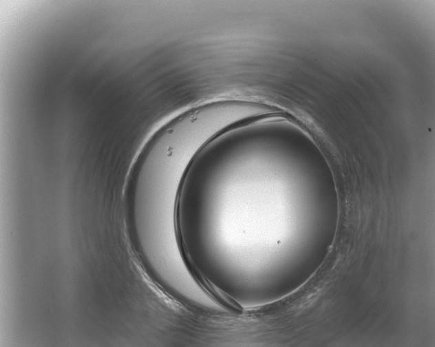 X0000067490838200604101253