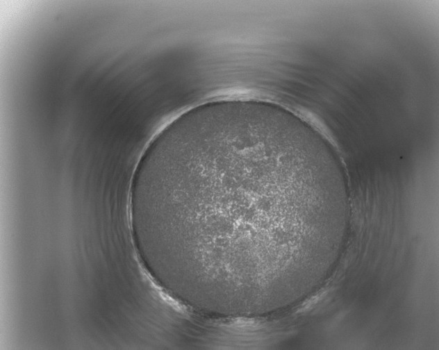 X0000067490839200604101253