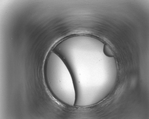 X0000067490840200604101253