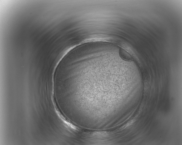 X0000067490844200604101253