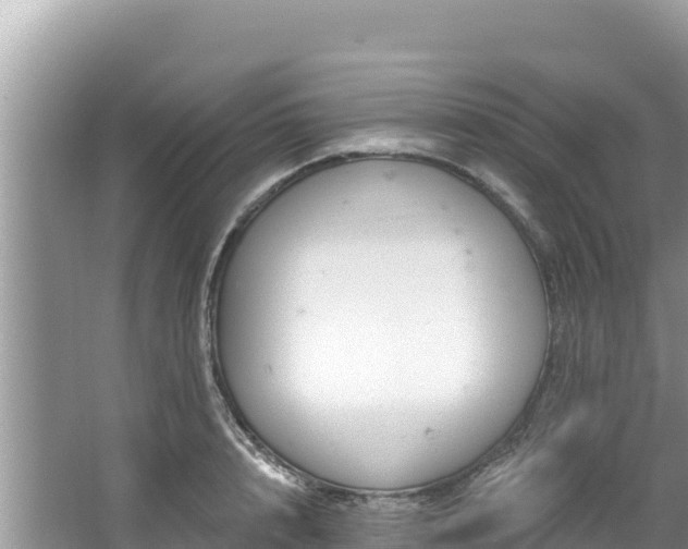 X0000067490848200604101253