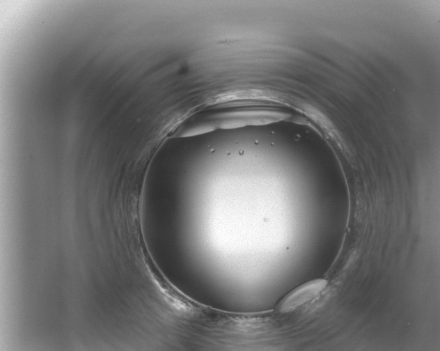 X0000067490849200604101253