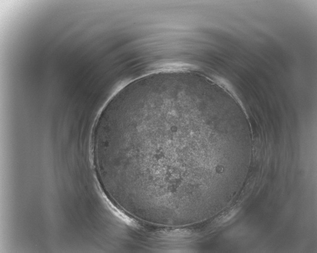 X0000067490851200604101253