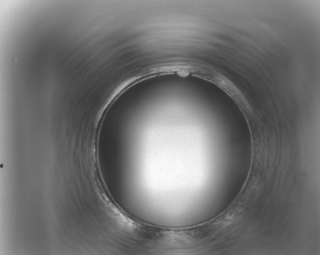 X0000067490852200604101253